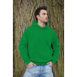 Bluza męska z kapturem, kolor zielony SWP28089-XXL